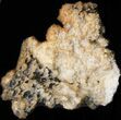 Calcite & Aragonite Stalactite Formation #41789-1